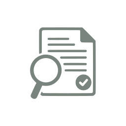 Audit icon