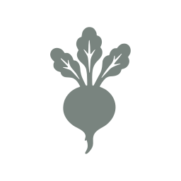 Beetroot icon