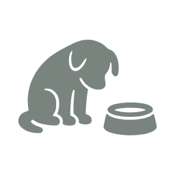 Lonely pet