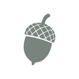 Acorn icon