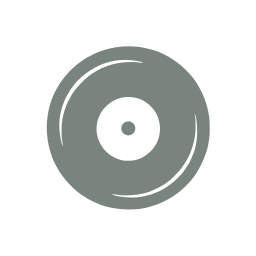 Vinyl record