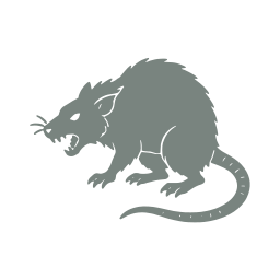 Giant rat