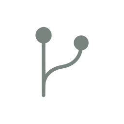 Code branch