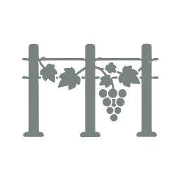 Vineyard