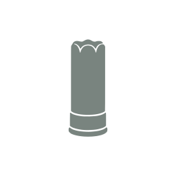 Shotgun shell
