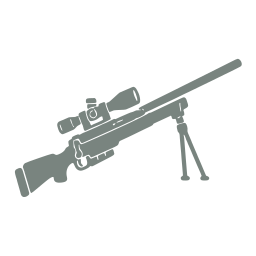 Sniper rifle