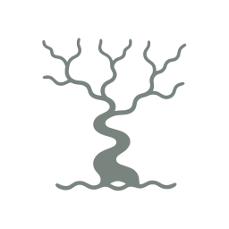River network