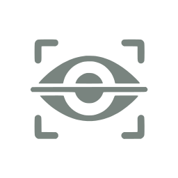 Retina scan
