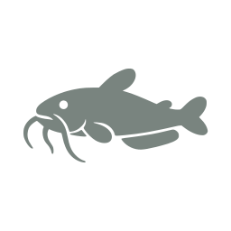 Catfish icon