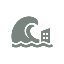 Tsunami