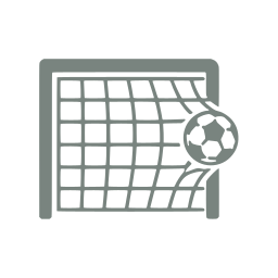Goal net