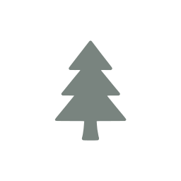 Pine tree