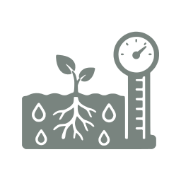 Soil moisture
