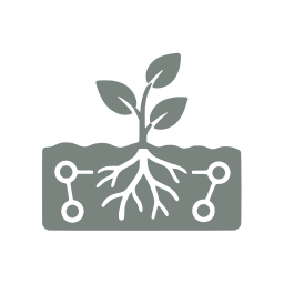 Soil nutrients