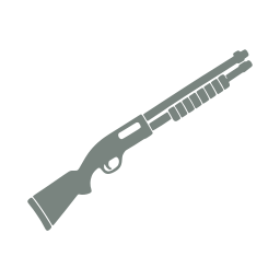 Shotgun