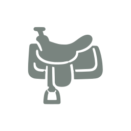 Saddle