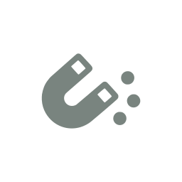 Magnet