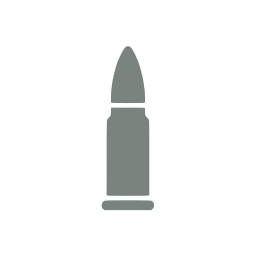 Bullet