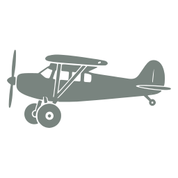 Bush plane