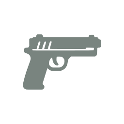 Pistol