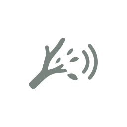 Noise