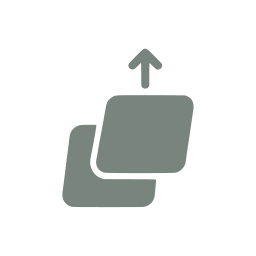 Bring front icon