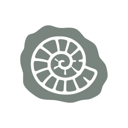 Fossil