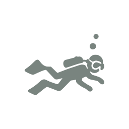 Diving
