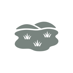 Grassland