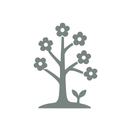 Spring season icon