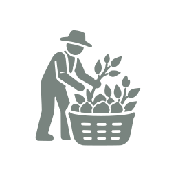 Harvesting