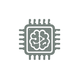 Neural chip