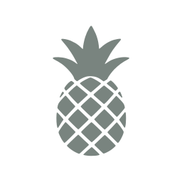 Pineapple icon