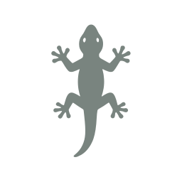 Lizard