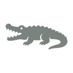Crocodile