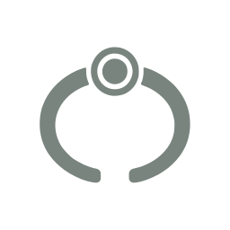 Bracelet icon