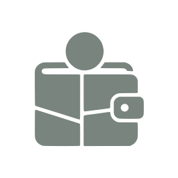 Budget icon