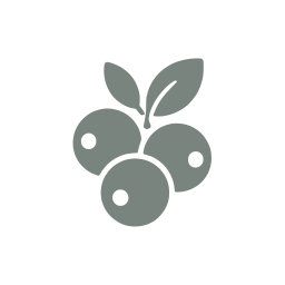 Berries icon