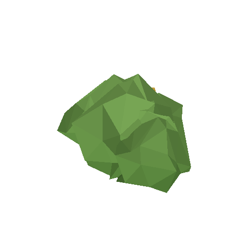 Bush Round 01
