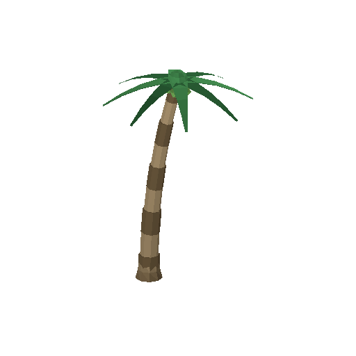 Low-poly Nature 3D model: Coconut Palm