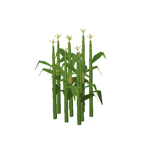 Low-poly Nature 3D model: Corn Stalk Cluster