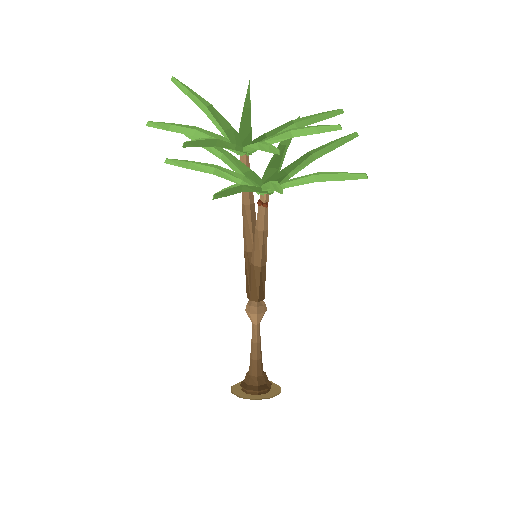 Doum Palm