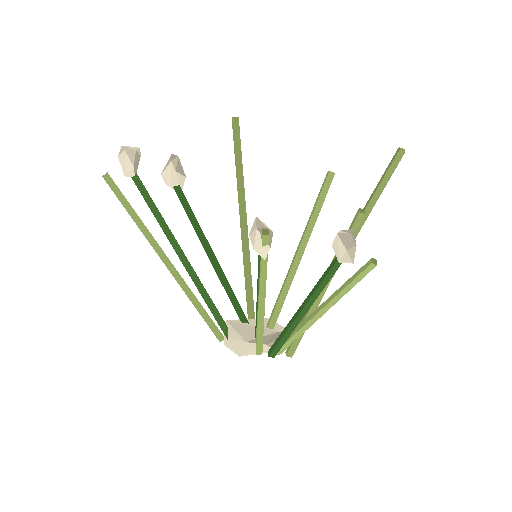 Low-poly Nature 3D model: Dune Grass Tuft