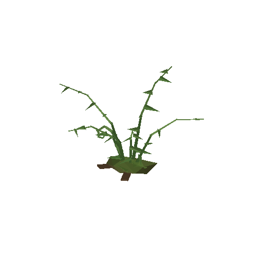Low-poly Nature 3D model: Fern Bracken