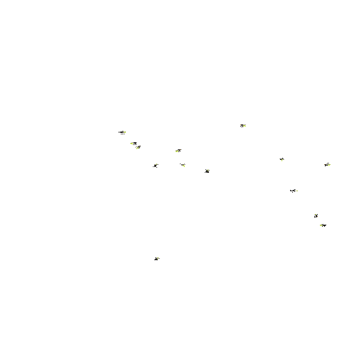 Low-poly Theme-Special 3D model: Fireflies