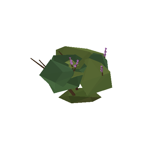 Low-poly Nature 3D model: Heather Shrub