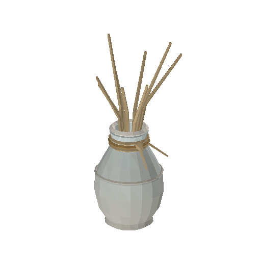 Low-poly Interiors 3D model: Reed Diffuser