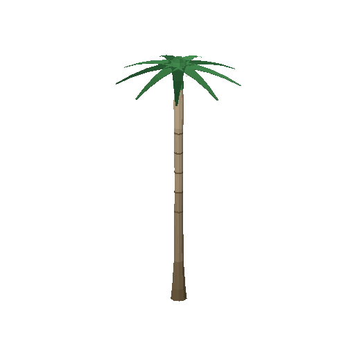Low-poly Nature 3D model: Royal Palm