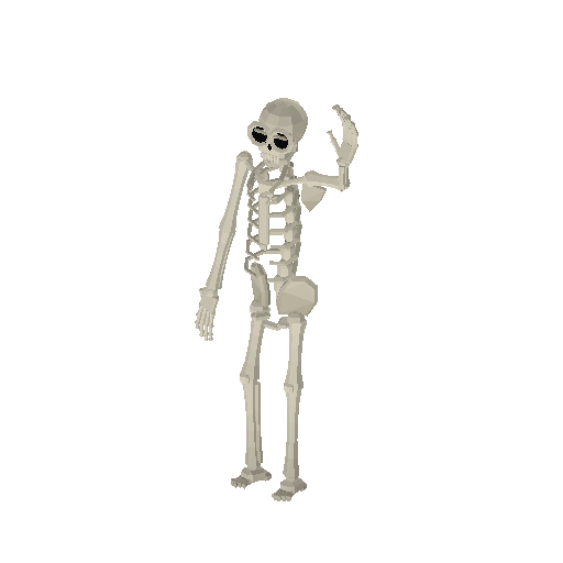 Low-poly Halloween Decorations 3D model: Skeleton 01