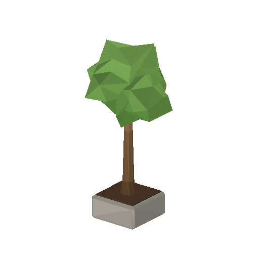 Street Tree 01